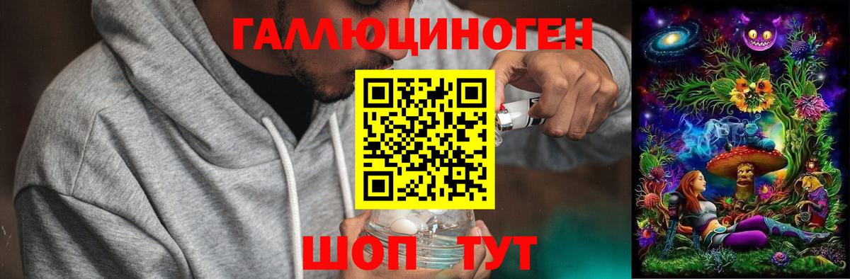 Новоалтайск  Галлюциногенные грибы MAGIC MUSHROOMS  Вход с VPN 