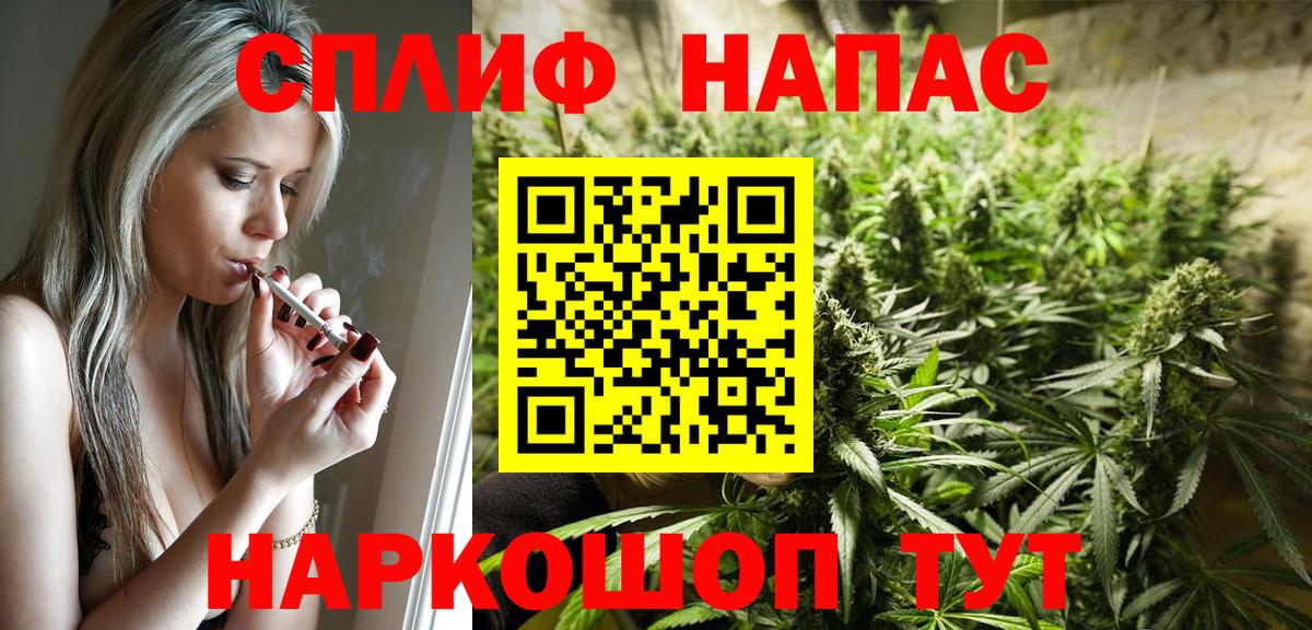 Конопля план Новоалтайск